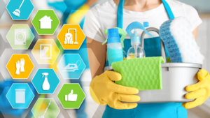 A Person Holding A Cleaning Tray