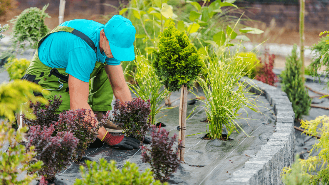 A Man In A Blue Shirt And Hat Working In A Garden Got Questions? Email Us At Getmysite@Websitedesignstlouis.com